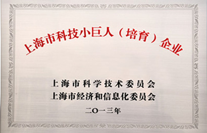 上海市科技幼巨人(造就)企业