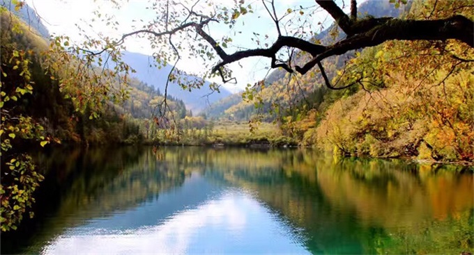 九游老哥J9俱乐部官网 - J9俱乐部老哥互换社区